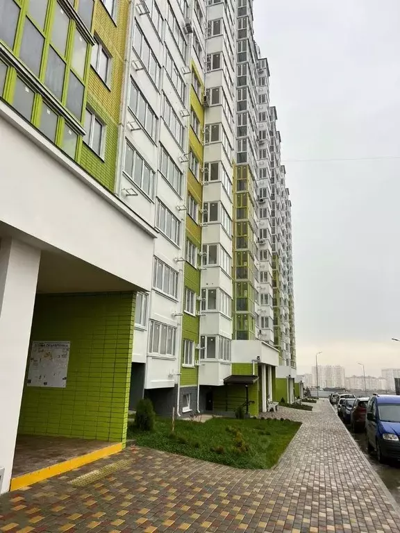 Студия Краснодарский край, Анапа ул. Ленина, 237 (28.0 м) - Фото 2