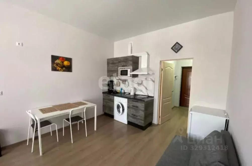 Студия Краснодарский край, Анапа Пионерский просп., 57к1 (27.5 м) - Фото 2