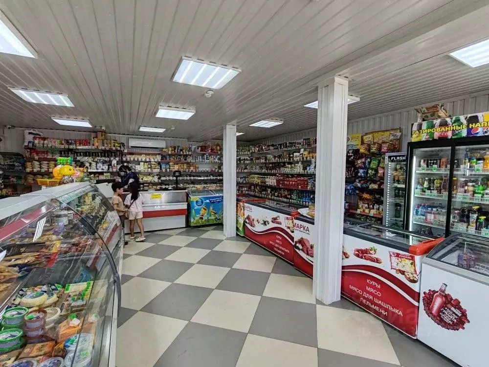 Торговая площадь в Бурятия, Тункинский район, пос. Аршан ул. Братьев ... - Фото 1