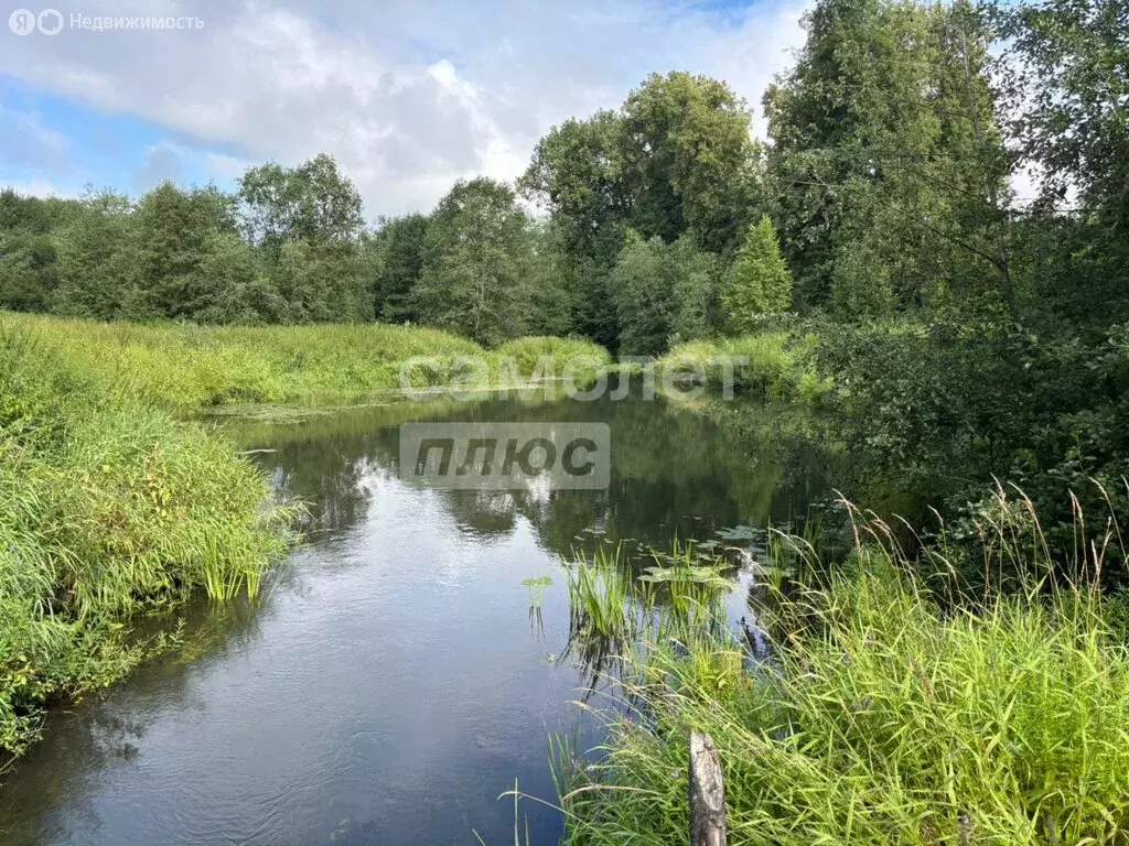 Дом в Судиславский район, Расловское сельское поселение, деревня ... - Фото 0