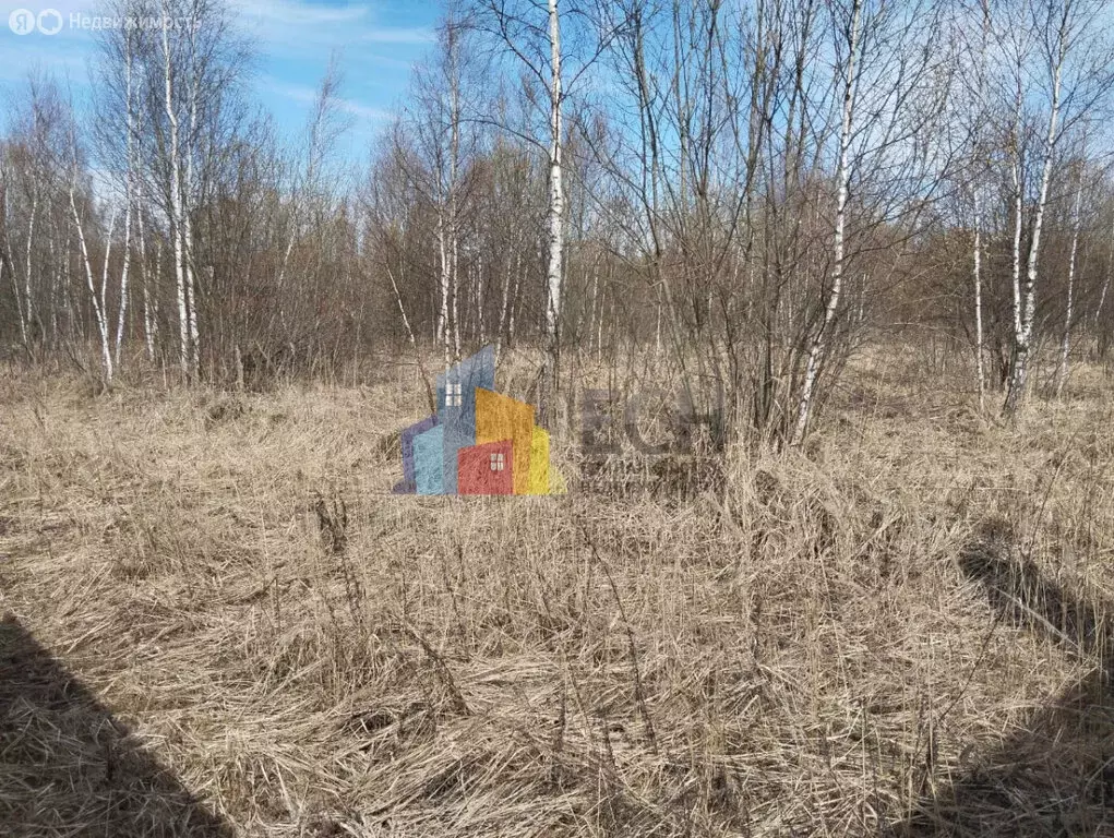 Участок в Молодёжный, Школьная улица, 22 (17 м) - Фото 0