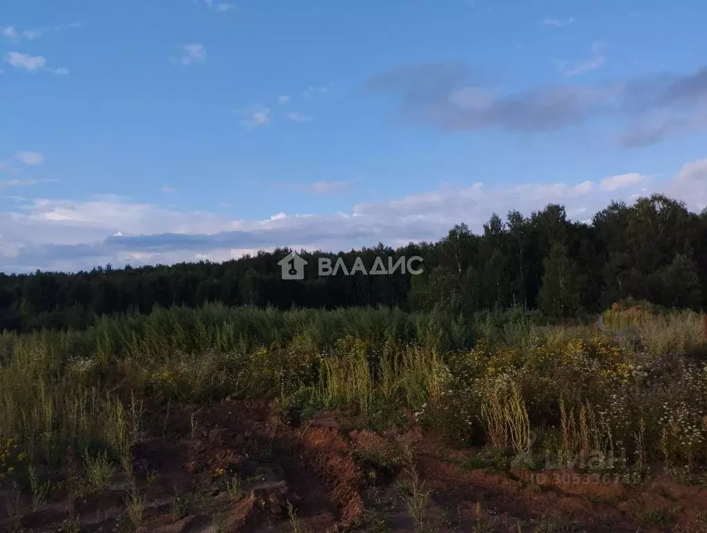 Участок в Владимирская область, Ковровский район, Доброград ... - Фото 0