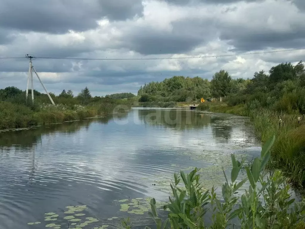 Участок в Костромская область, Красносельский район, Шолоховское ... - Фото 1
