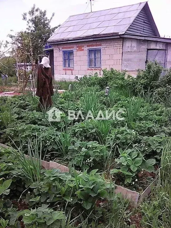 Участок в Ивановская область, Иваново ул. Шишкина, 8 (8.1 сот.) - Фото 1