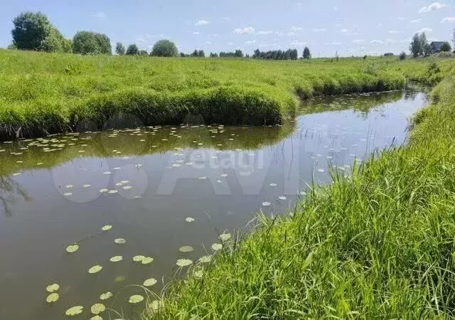Участок 18,7 сот. (СНТ, ДНП) - Фото 1