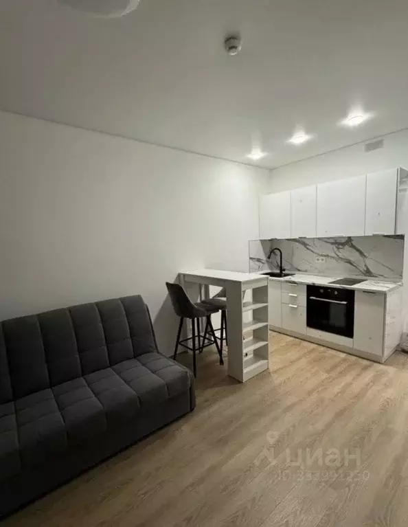 Студия Москва ул. Саларьевская, 15к1 (19.7 м) - Фото 1