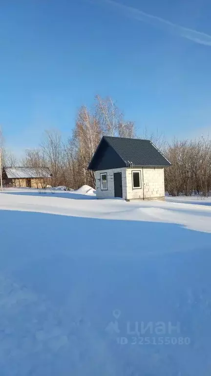 Участок в Алтайский край, Барнаул городской округ, пос. Бельмесево ... - Фото 1