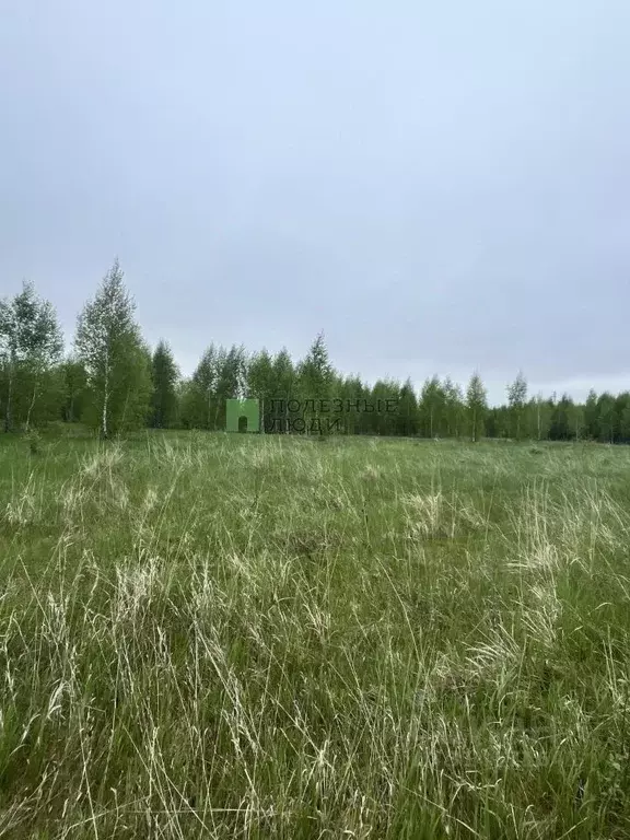 Участок в Курганская область, Кетовский муниципальный округ, с. ... - Фото 2