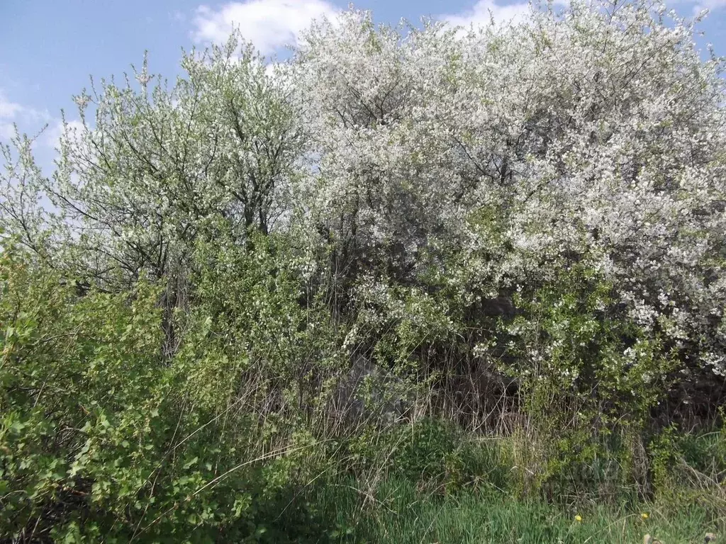 Участок в Московская область, Мытищи городской округ, д. Болтино ул. ... - Фото 0