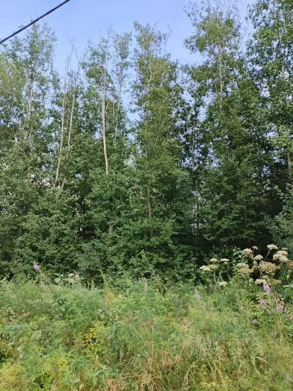 Участок в Вологодская область, Череповец ул. Узорная (7.8 сот.) - Фото 1