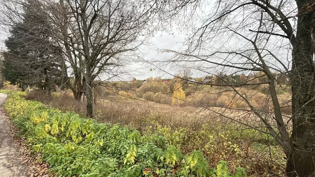 Участок в Московская область, Ступино городской округ, д. Прудно ул. ... - Фото 1