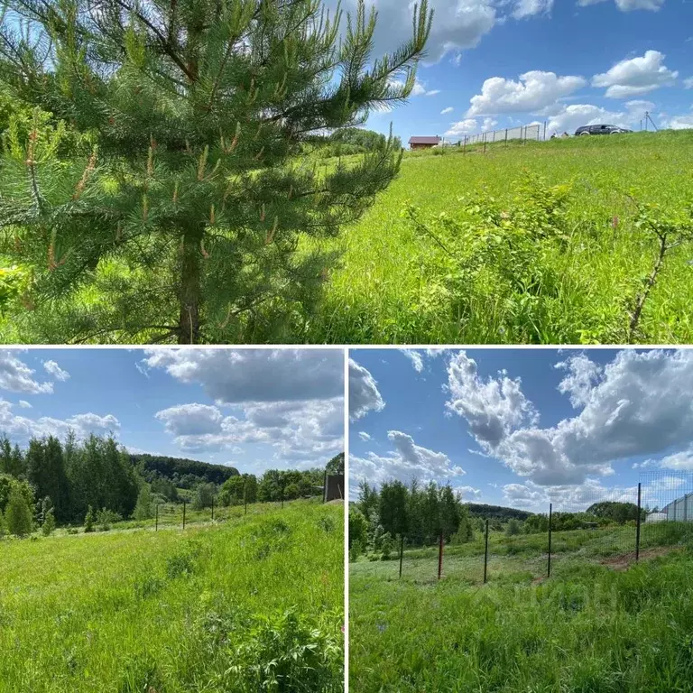 Участок в Нижегородская область, Богородский район, д. Шумилово, ... - Фото 0