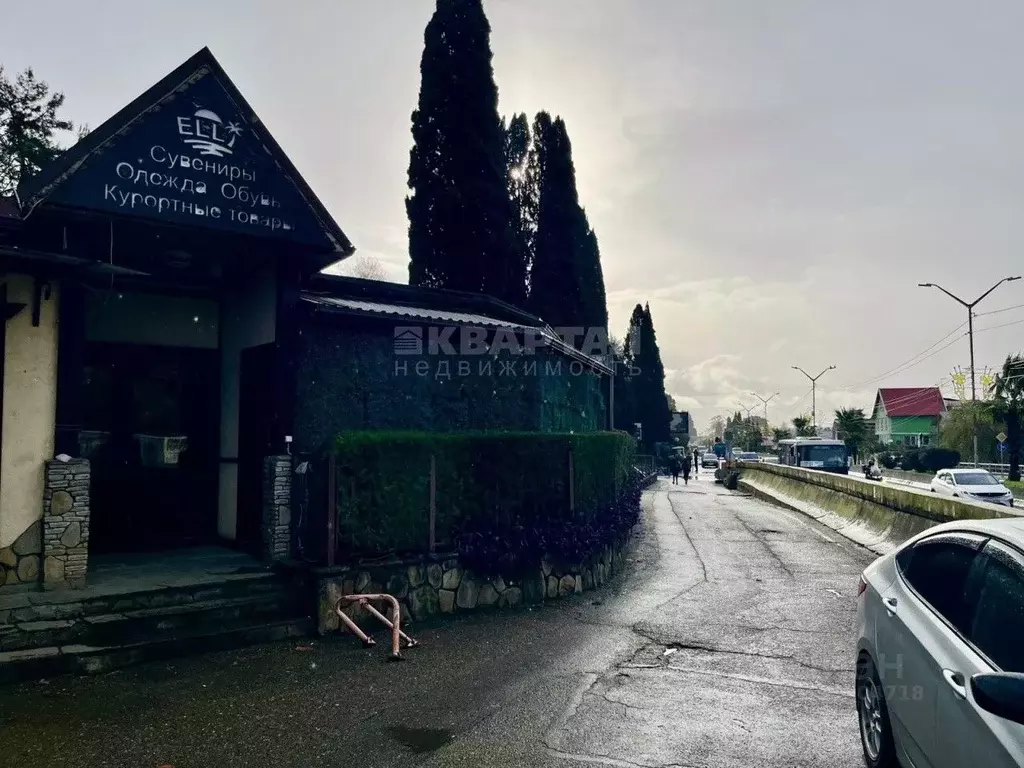 Помещение свободного назначения в Краснодарский край, Сочи ул. Ленина, ... - Фото 1