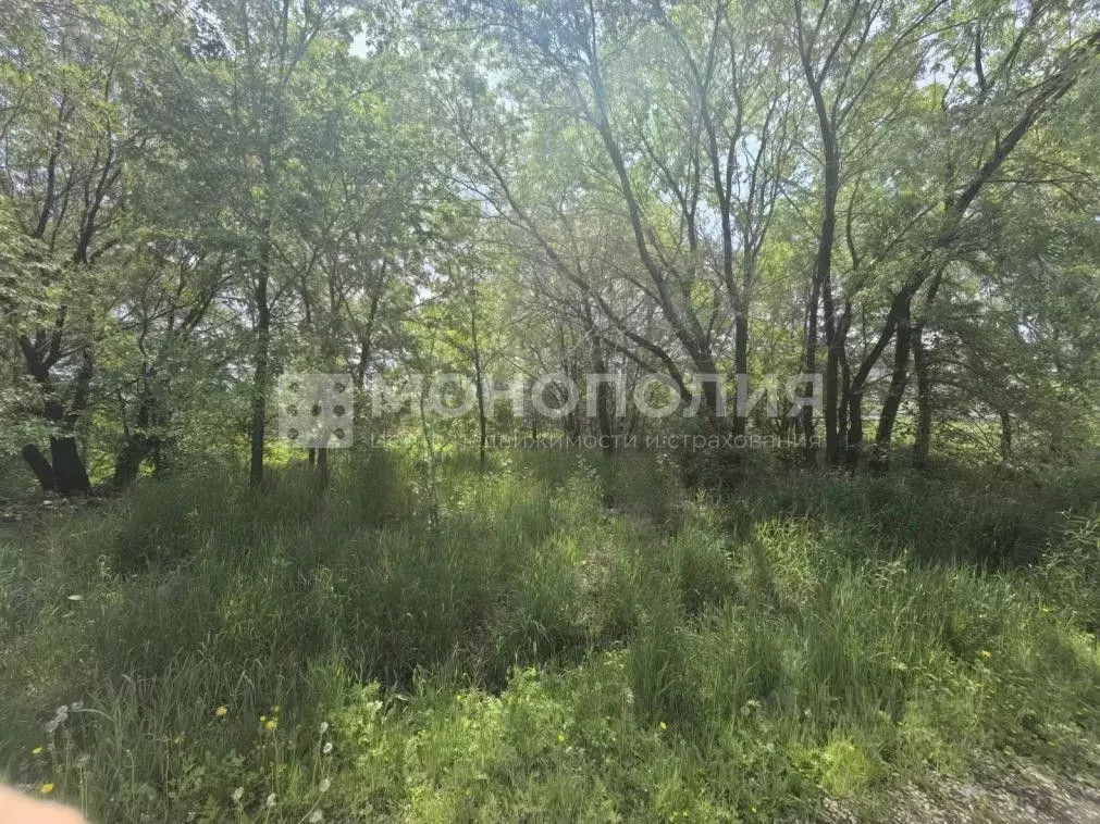 Участок в Амурская область, Белогорск Волочаевская ул. (8.0 сот.) - Фото 2