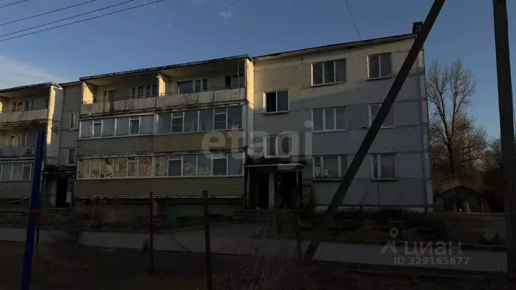 2-к кв. Псковская область, Островская волость, д. Усадище (Волковская ... - Фото 2
