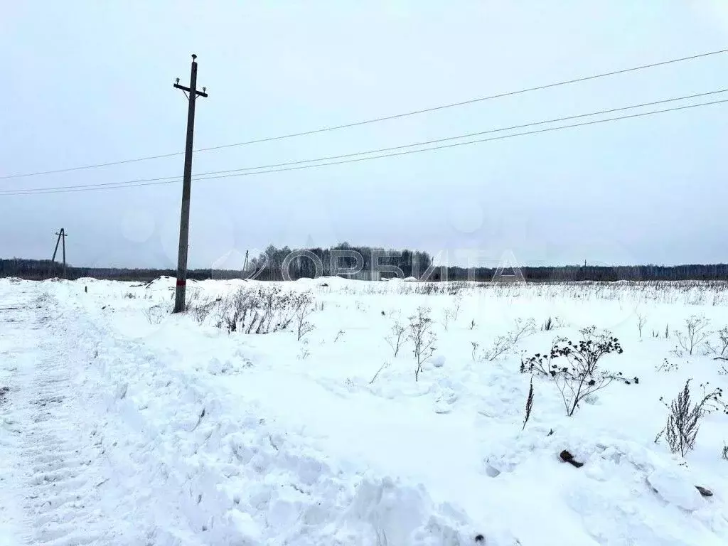 Участок 6 сот. (СНТ, ДНП) - Фото 1