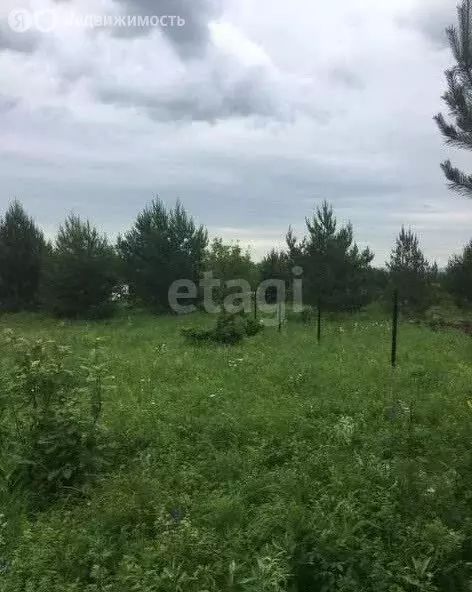 Участок в деревня Дмитриевка, коттеджный посёлок Сапсан (10 м) - Фото 1