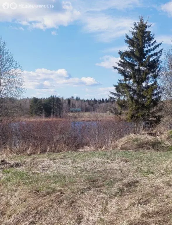 Участок в Новгородская область, Валдайский муниципальный район, ... - Фото 2