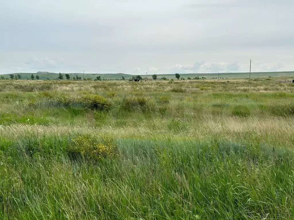 Участок 12 сот. (ИЖС) - Фото 1