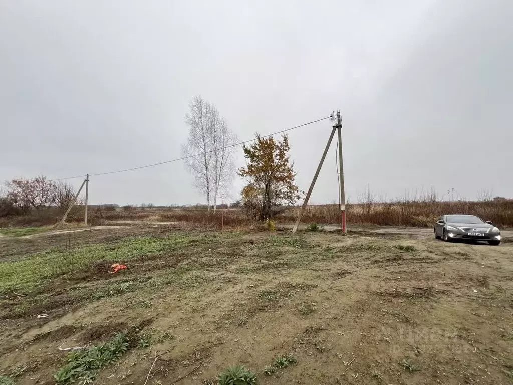 Участок в Калининградская область, Гурьевский муниципальный округ, ... - Фото 1