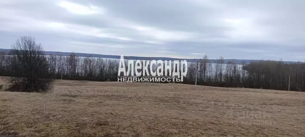 Участок в Ленинградская область, Приозерский район, пос. Мичуринское, ... - Фото 1