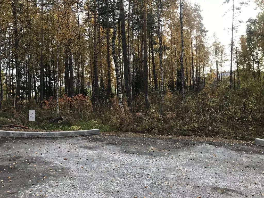 Участок в Ленинградская область, Приозерский район, Раздольевское ... - Фото 1