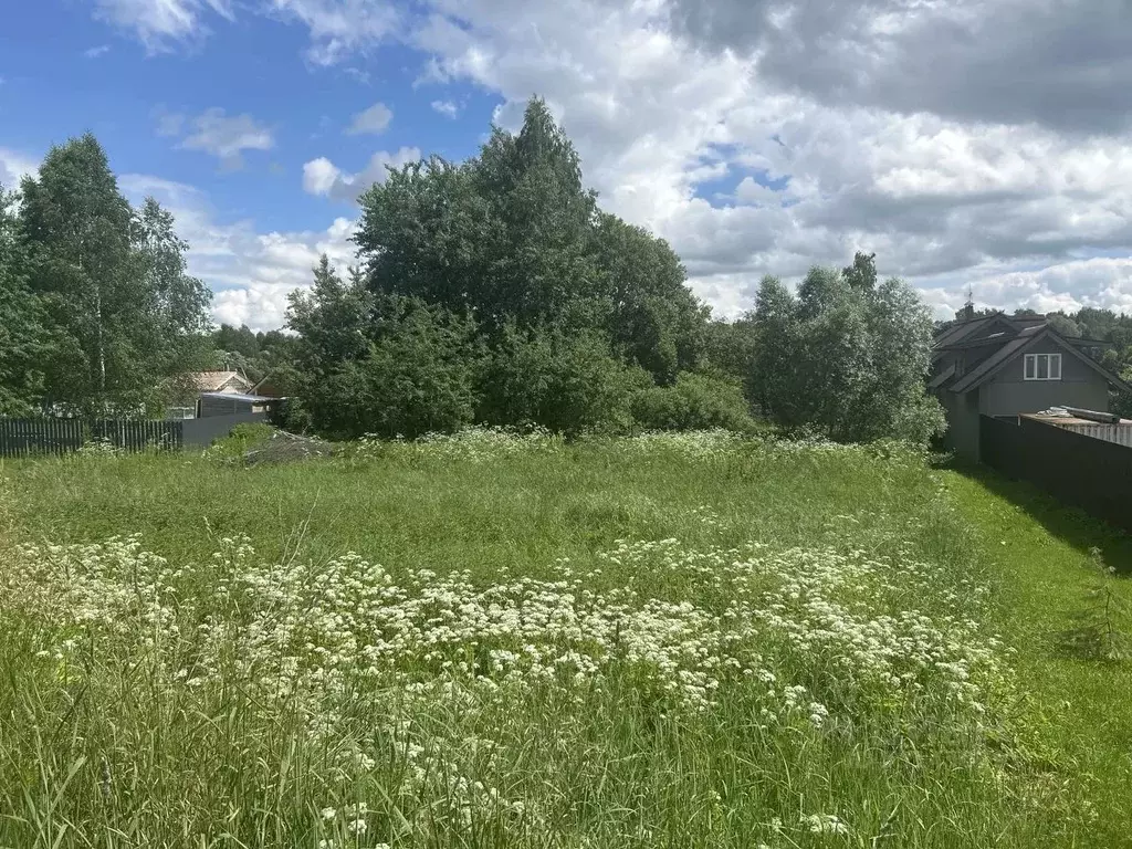 Участок в Московская область, Ступино городской округ, с. Вихорна ул. ... - Фото 1