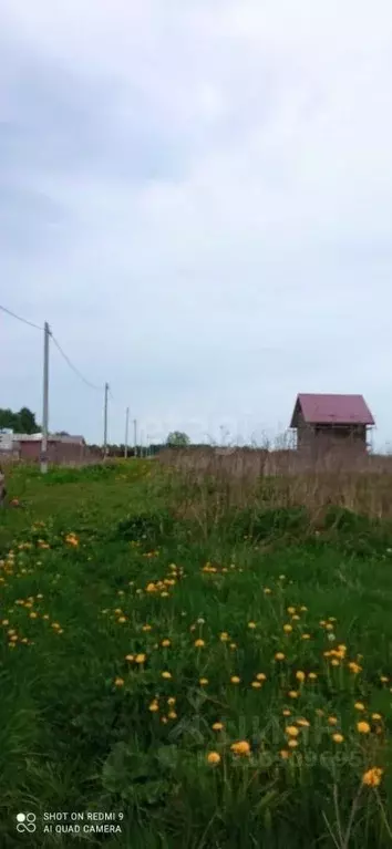 Участок в Ярославская область, Тутаевский муниципальный округ, ... - Фото 2