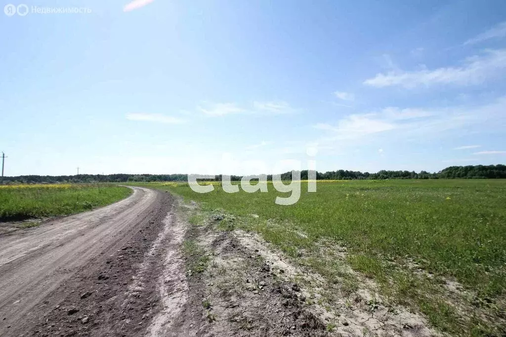 Участок в Вагайский район, деревня Трушникова, Трушниковская улица ... - Фото 1