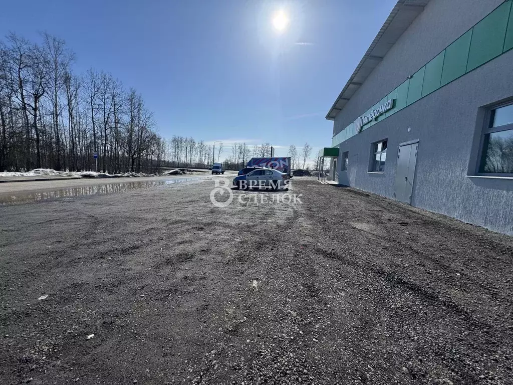 Торговая площадь в Владимирская область, Петушинский муниципальный ... - Фото 2