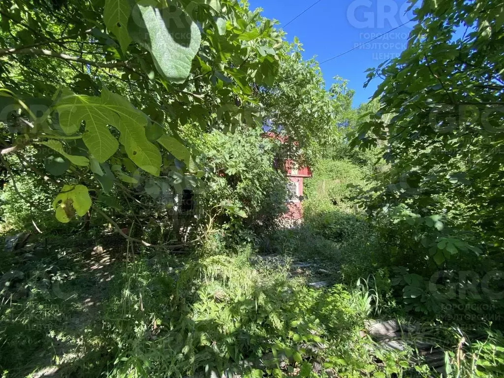 Участок в Краснодарский край, Сочи городской округ, с. Волковка ул. ... - Фото 1