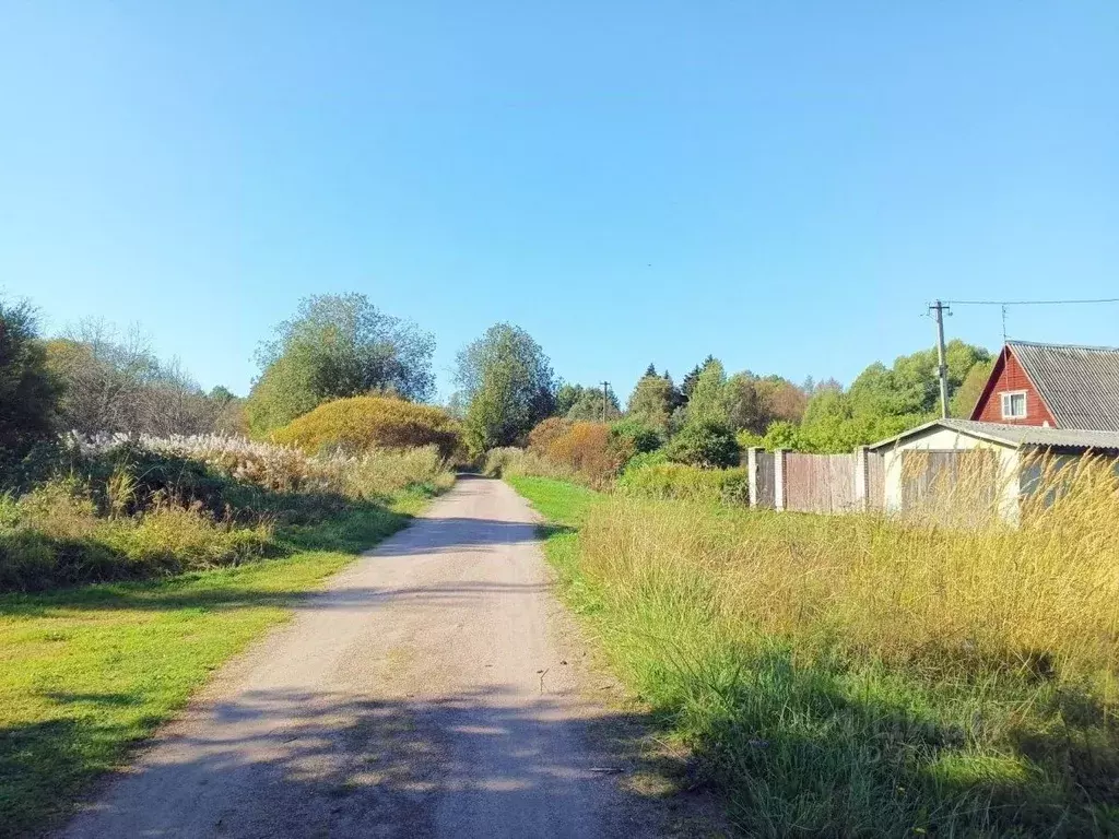 Участок в Ленинградская область, Выборгский район, Красносельское ... - Фото 2