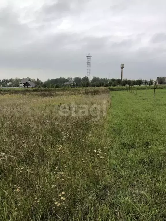 Участок в Брянская область, Брянский район, с. Глинищево ул. Связистов ... - Фото 0