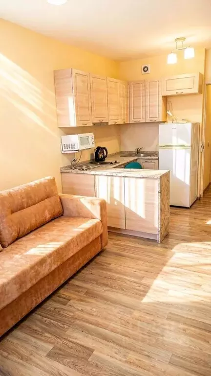 Студия Пермский край, Пермь ул. Вильямса, 51А (21.6 м) - Фото 1