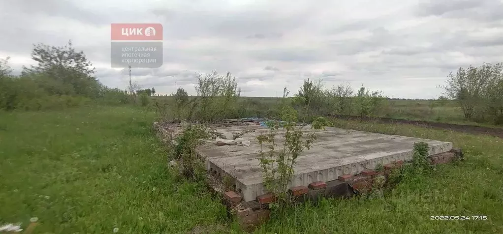 участок в рязанская область, старожиловский район, с. истье восточная . - Фото 0