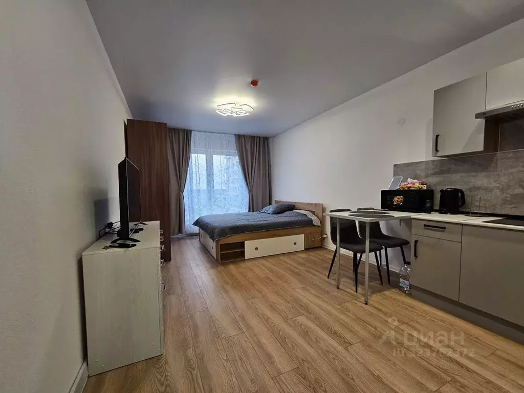 Студия Ленинградская область, Ломоносовский район, Аннинское городское ... - Фото 2