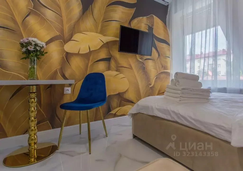 Комната Краснодарский край, Сочи Центральный мкр, ул. Советская, 38 - Фото 2