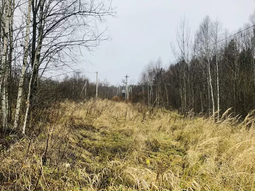 Участок в Смоленская область, Смоленский район, д. Телеши ул. ... - Фото 1