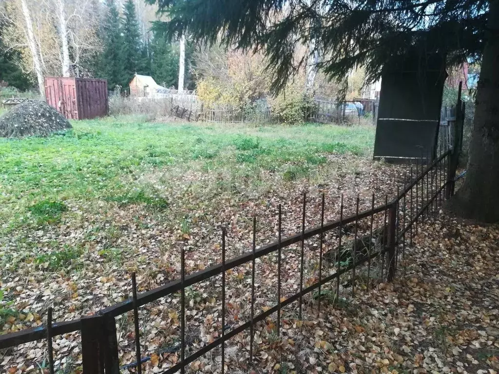 Участок в Новосибирская область, Новосибирск Звездочка садовое ... - Фото 1
