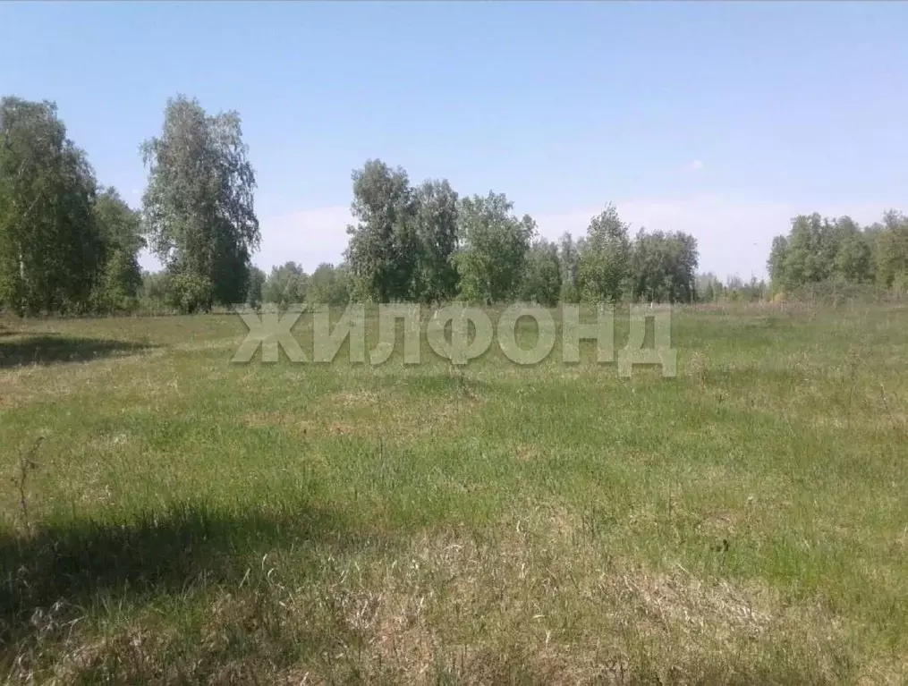 Участок в Новосибирская область, Новосибирский район, Толмачевский ... - Фото 1