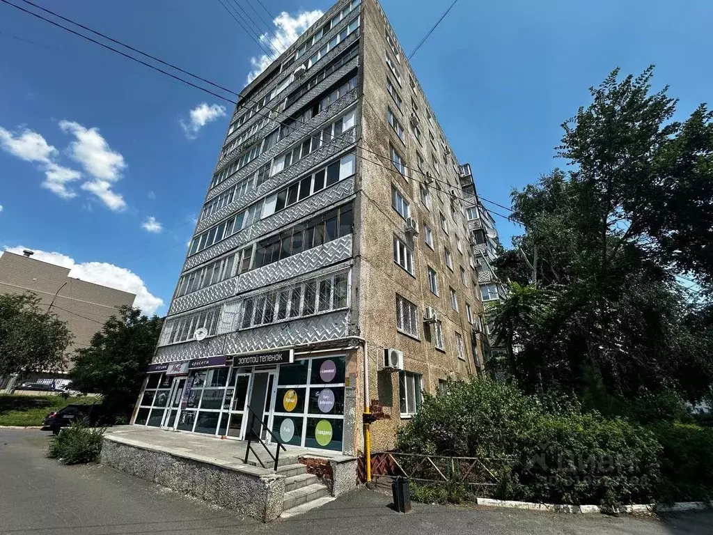 Торговая площадь в Оренбургская область, Оренбург ул. Чкалова, 43 (77 ... - Фото 0