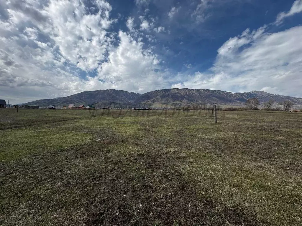 Участок в Алтай, Усть-Коксинский район, с. Усть-Кокса ул. Нагибина ... - Фото 1