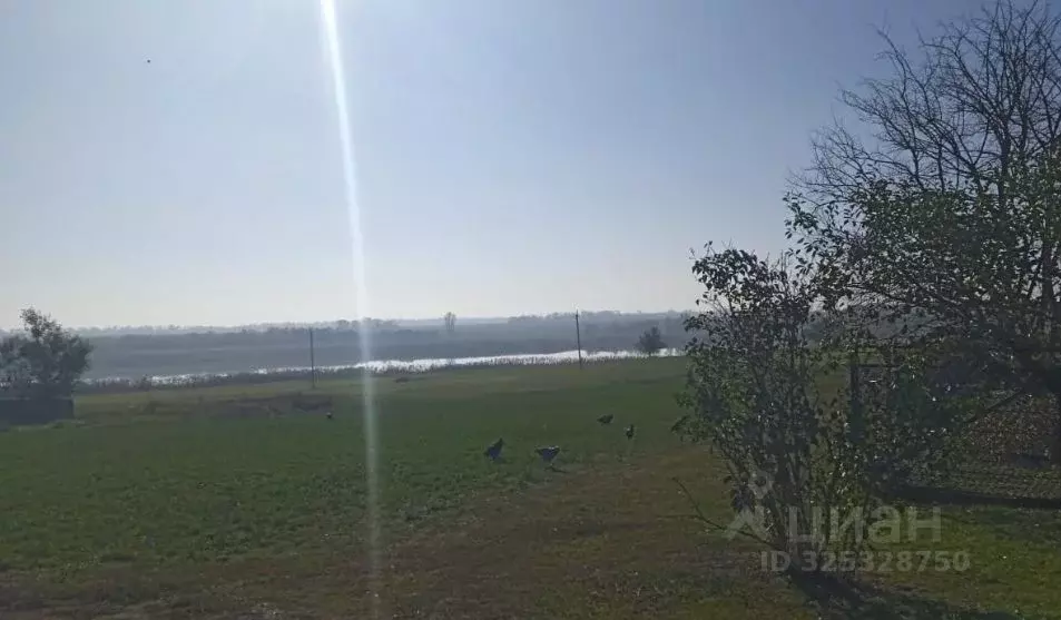 Участок в Краснодарский край, Щербиновский район, Новощербиновская ... - Фото 1