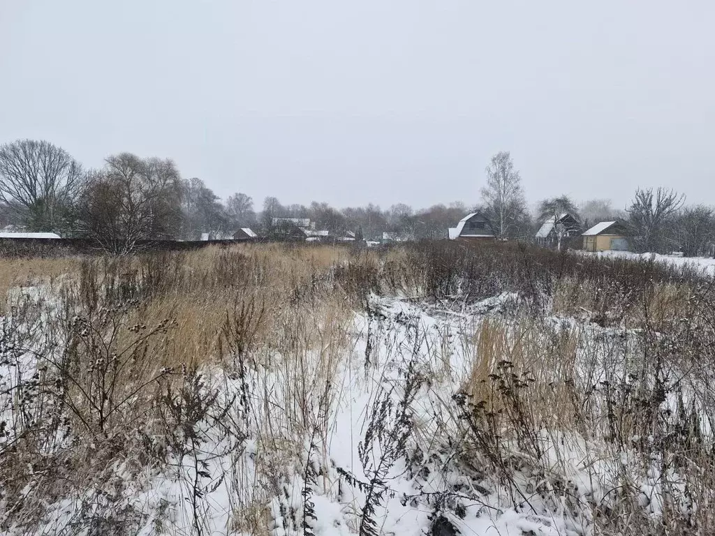 Участок в Московская область, Ступино городской округ, д. Алфимово ул. ... - Фото 2