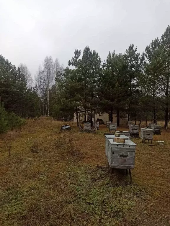 Участок в Нижегородская область, Арзамас городской округ, с. Новоселки ... - Фото 1