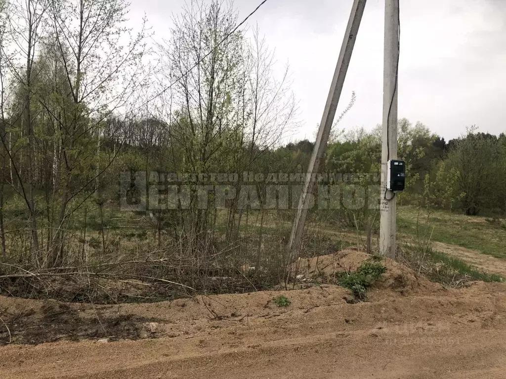 Участок в Смоленская область, Смоленский муниципальный округ, д. ... - Фото 2
