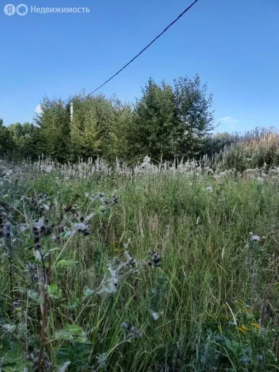 Участок в Угличский район, Улейминское сельское поселение, деревня ... - Фото 0