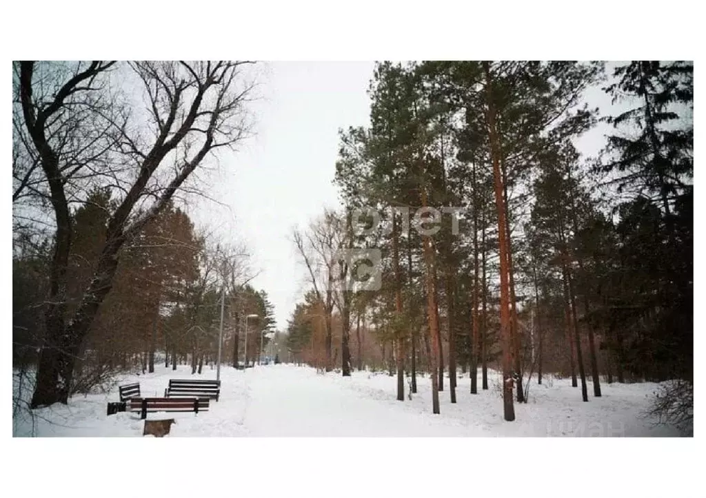 1-к кв. Омская область, Омск ул. Красный Путь, 137/1 (38.2 м) - Фото 1