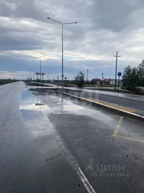 Участок в Ямало-Ненецкий АО, Новый Уренгой Фемида СНТ, ул. 1-я ... - Фото 1