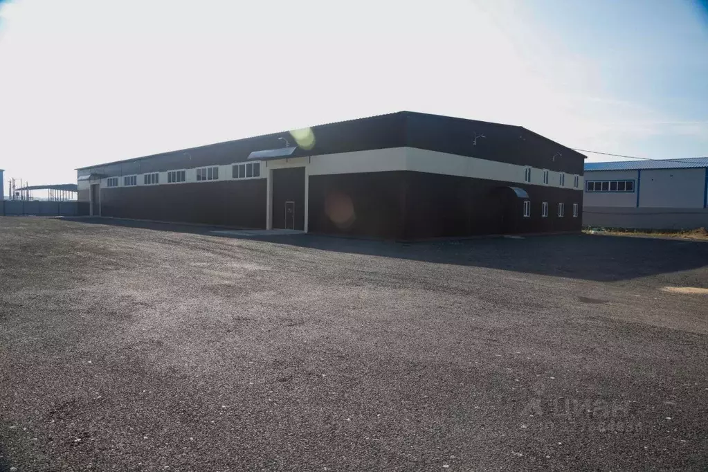 Производственное помещение в Ленинградская область, Тосненский район, ... - Фото 1